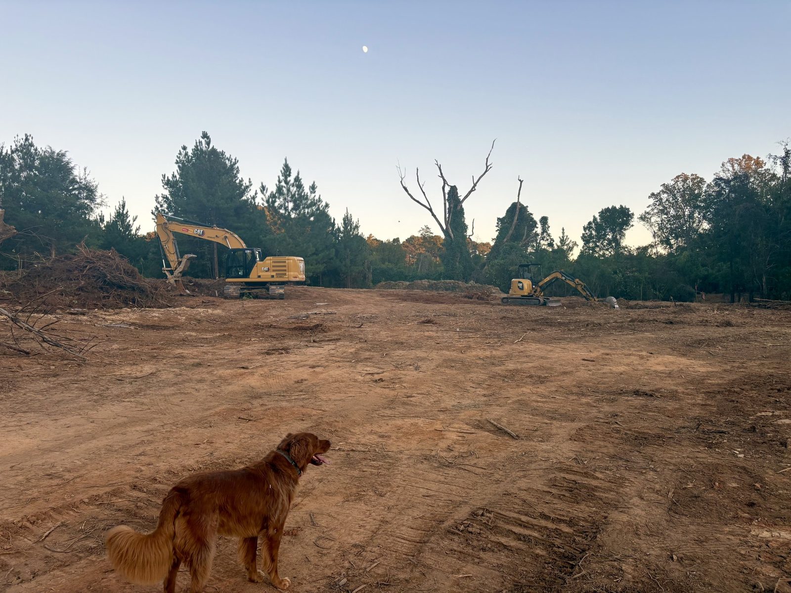 Scooter on cleared ground at dusk with two excavators and a rising moon