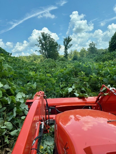 High Side land clearing